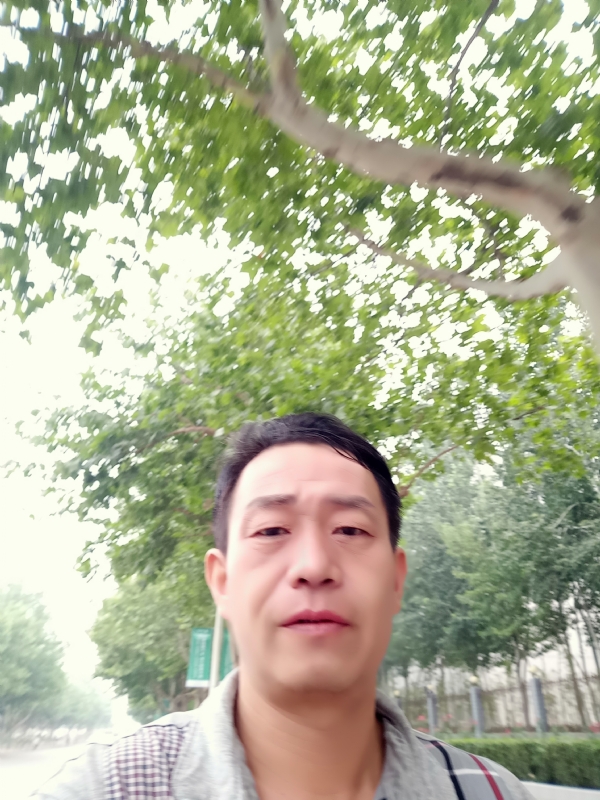 阳光的第一张照片--河北残疾人相亲网